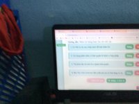 IMG_2269.jpeg