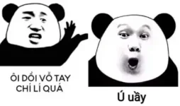 ú uầy.webp