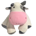 ds.png