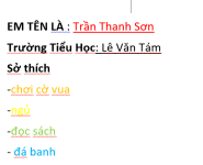 tranthanhsonahihi.png