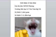 Capture.PNG