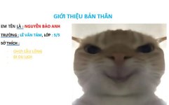 {3E4421ED-8C21-4329-BB6D-09C08B083784}.png.jpg