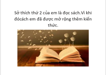 dsdsdsdsdsdsdssdsdsdsdsd.PNG