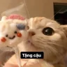 Lê Thị Thanh Tâm