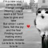 vũ đình long58
