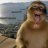 minhtuan56